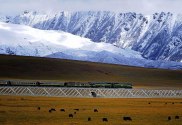 Ferrovia_Qinghai-Tibet-a_ferrovia_mais_alta_do_mundo